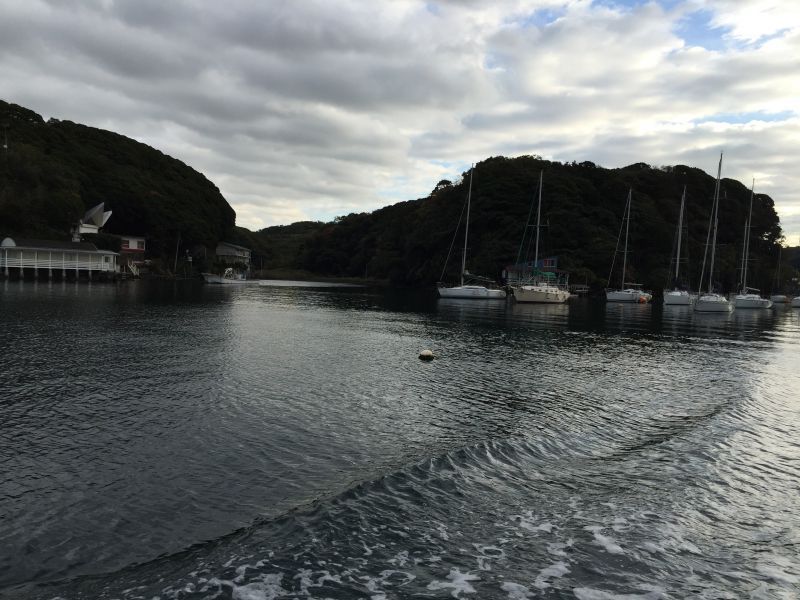 なつかしい小網代湾